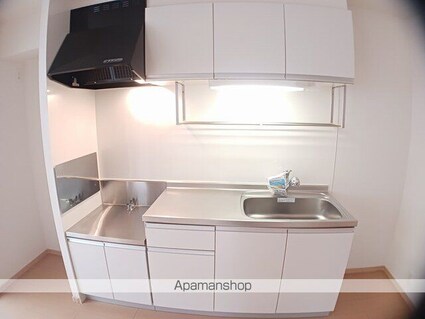 カーサⅢ[1LDK/45.02m2]のキッチン