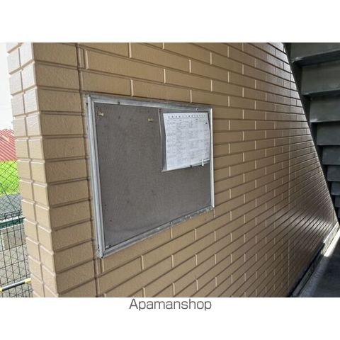 サープラス アイのその他写真