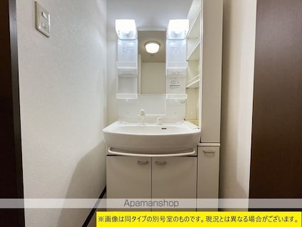 ローズ・ヴィラ二の宮[4LDK/95.48m2]の洗面所