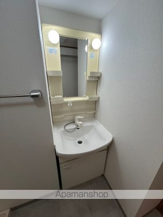 セルフォース[2LDK/58.75m2]の洗面所