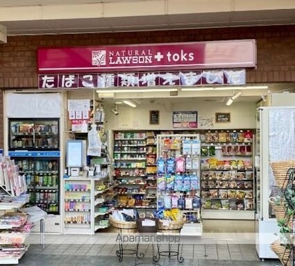 レガーロ田園調布[1LDK/34.92m2]の周辺7