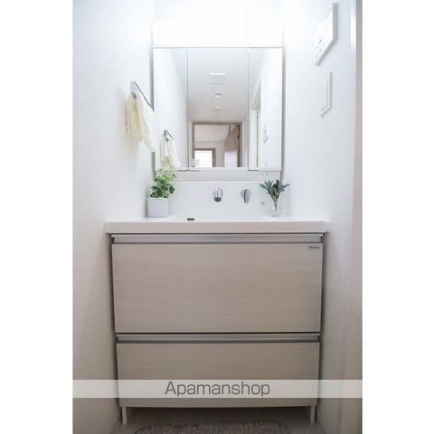 テラスミーレ文京弥生[1LDK/43.06m2]の洗面所