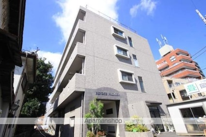 ルネス　プレミール[1K/33.15m2]の外観1