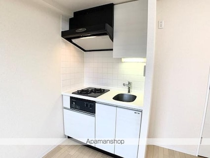 ジョイシティ住吉Ⅱ[1R/21.77m2]のキッチン1