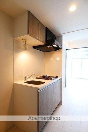 ラフィスタ調布多摩川[1DK/25.52m2]のその他内装9
