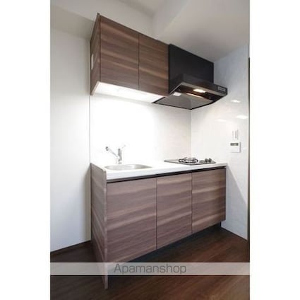 スタイリオ蒲田Ⅱ[1DK/29.74m2]のキッチン