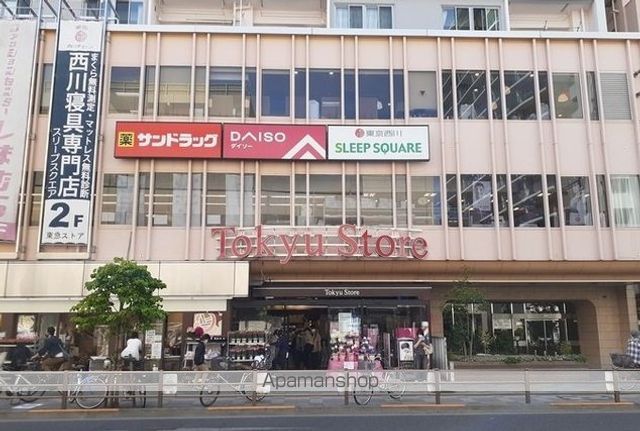 カンパニュラの周辺写真