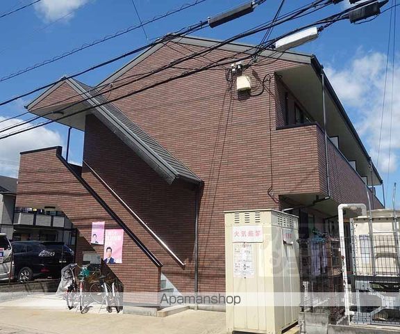 アムール葵