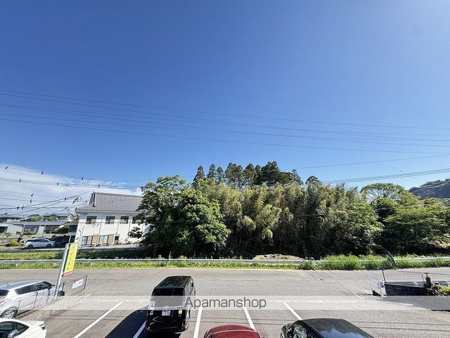 クリザンテームのその他写真