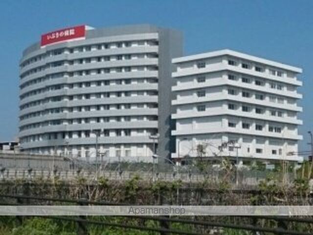 デイジーの周辺写真
