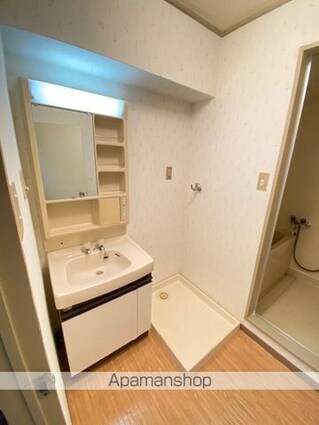 ラフォーレ・ディテ[3DK/51.3m2]の洗面所