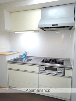 ハートピュア　Ｎ＆Ｔ[1LDK/45.28m2]のキッチン