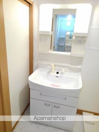 グレース新町[2LDK/55.81m2]の洗面所