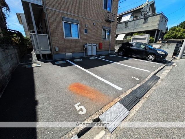 ルピナスのその他写真