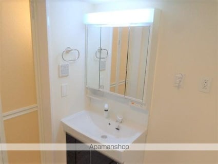 ルミナスＡ[1LDK/43.96m2]の洗面所