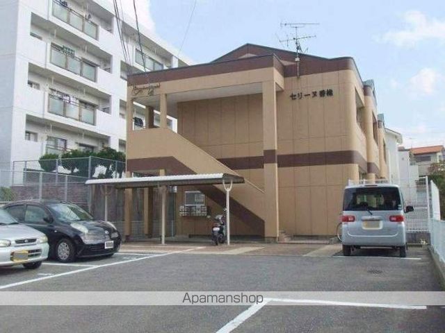 セリーヌ香椎