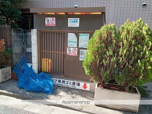 カミーリアのその他写真