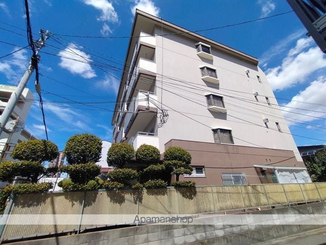 ホワイトシャンボールの外観写真