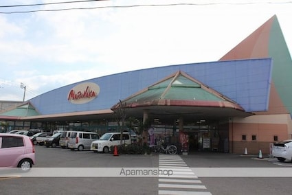 サンハイツ（さぬき市）Ｇ・Ｈ・Ｉ・Ｊ・Ｋ[2DK/35.04m2]の周辺1