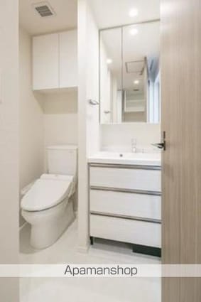 パークアクシス赤坂見附[1R/24.8m2]の洗面所