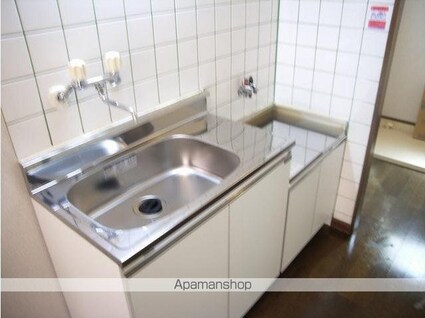 パークアベニュー[1K/20.8m2]のキッチン2