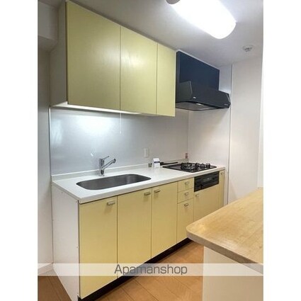 アルス中目黒ヴィルトレーテ[1LDK/44.92m2]のキッチン