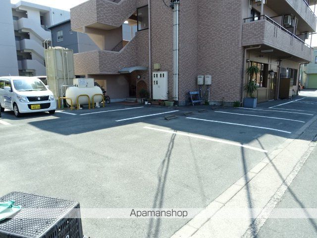 オリーブのその他写真
