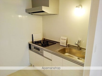 ブラウニーテラス[1R/32.8m2]のキッチン