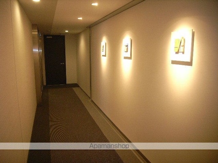 パークアクシス錦糸町・親水公園[1K/26.3m2]の共用部8