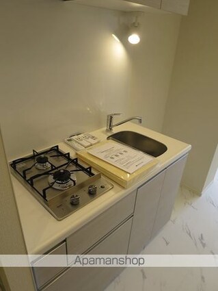 セジョリ板橋坂下Ⅱ[1DK/25.81m2]のその他内装3