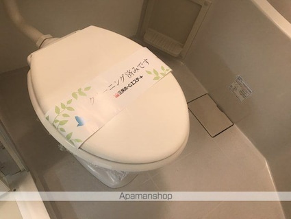 メゾン・ド・ルルス[1R/19.87m2]のトイレ