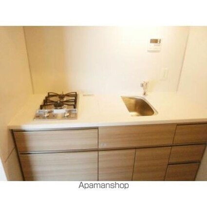 パークアクシス東陽町・親水公園[1LDK/37.51m2]のキッチン