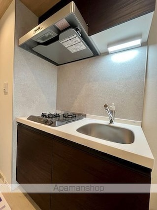 レジディア新御茶ノ水[1K/22.01m2]のキッチン