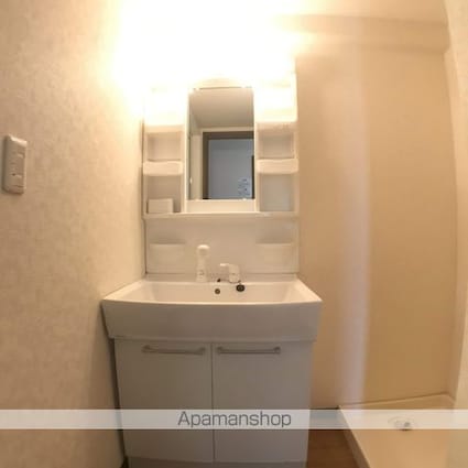 滋賀県草津市追分南２丁目[3LDK/66.08m2]の洗面所