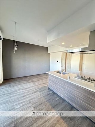 メアヌイ錦糸町[1LDK/43.69m2]の内装3