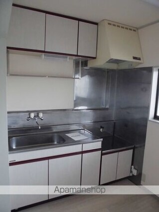 トゥインクル広瀬[2LDK/49.58m2]のキッチン