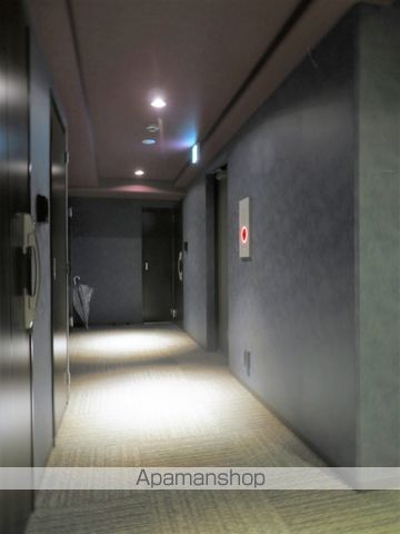 ソアジョウトウガモウのその他写真