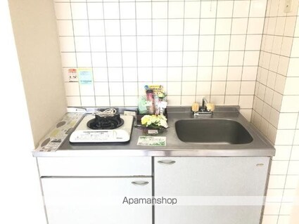 エクセルコート柏木[1R/21.17m2]のキッチン