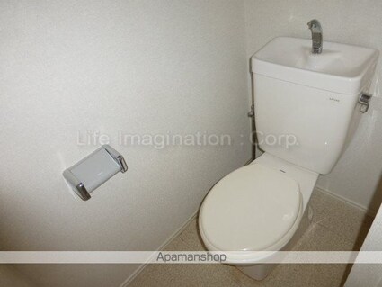 滋賀県近江八幡市鷹飼町[2DK/44.71m2]のトイレ