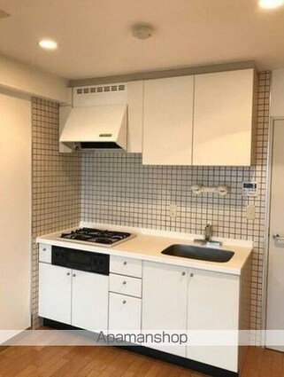 グランドメゾン三軒茶屋[2LDK/50.01m2]のキッチン