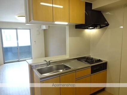 岐阜県岐阜市則武中２丁目[1LDK/46.61m2]のキッチン1