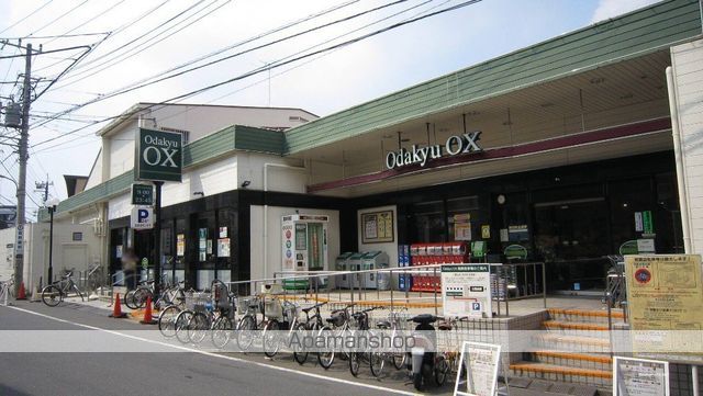 カモミールの周辺写真