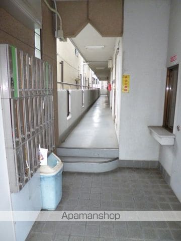 シロハイヌのその他写真