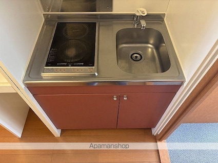 レオパレスメイプルコートⅡ号館[1K/28.02m2]のキッチン