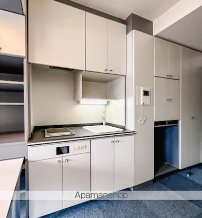 インペリアル南麻布サテライト[1R/17.93m2]のキッチン