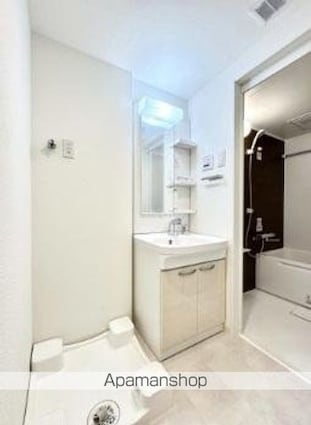 ＳーＲＥＳＩＤＥＮＣＥ中新町ａｖｅｌｉｓ[1LDK/28.81m2]の洗面所