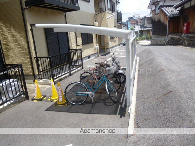 アルシオネセタのその他写真