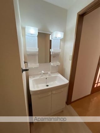 カトレア・メサⅡ[2LDK/55m2]の洗面所