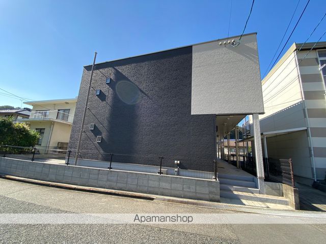 クレイノファレノプシスの外観写真