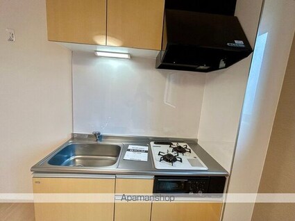 リーセント・メゾンＳ[1LDK/41.69m2]のキッチン